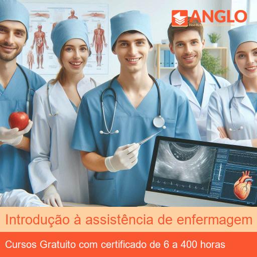 Introdução à assistência de enfermagem no pós operatório